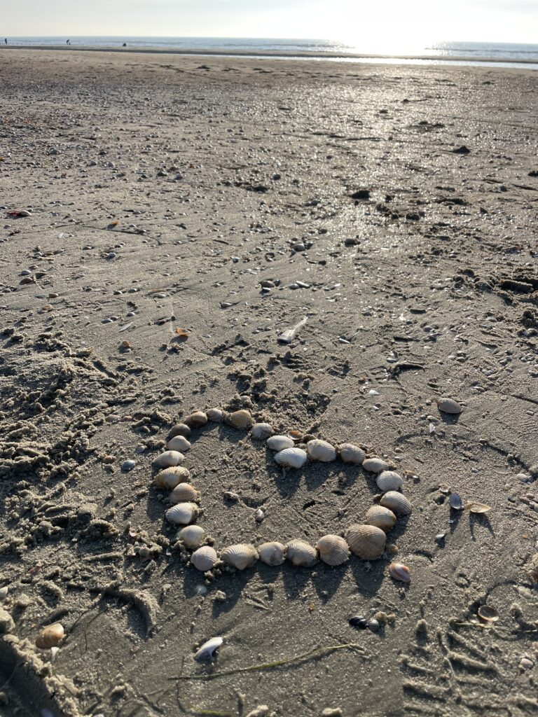 Muschelherz am Strand