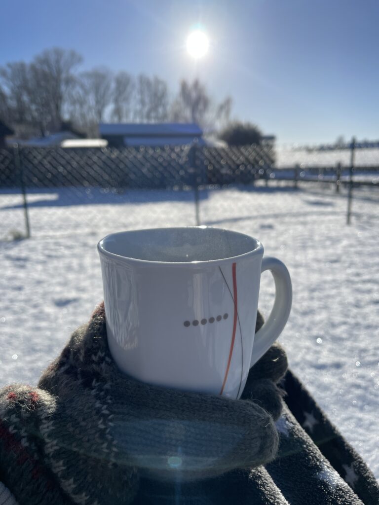 Hygge am Ferienhaus in Schönhagen