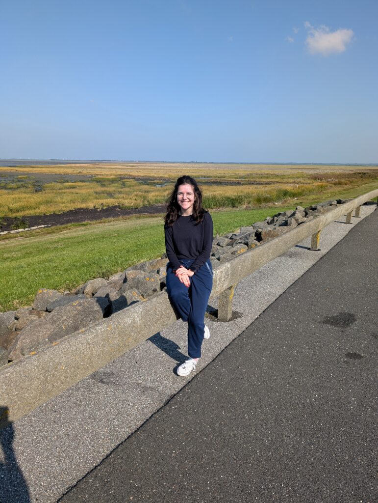 Ich in einer Straßenbucht auf dem Römö Damm