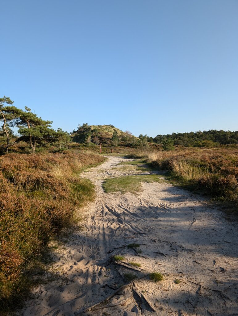 Plantageweg auf Römö in Bolilmark Was kann man auf Römö machen?