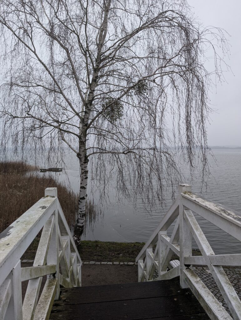 Weiße Brücke am Zierker See Ausflugstipps an der Mecklenburgischen Seenplatte von Mirow bis Müritz und Neustrelitz
