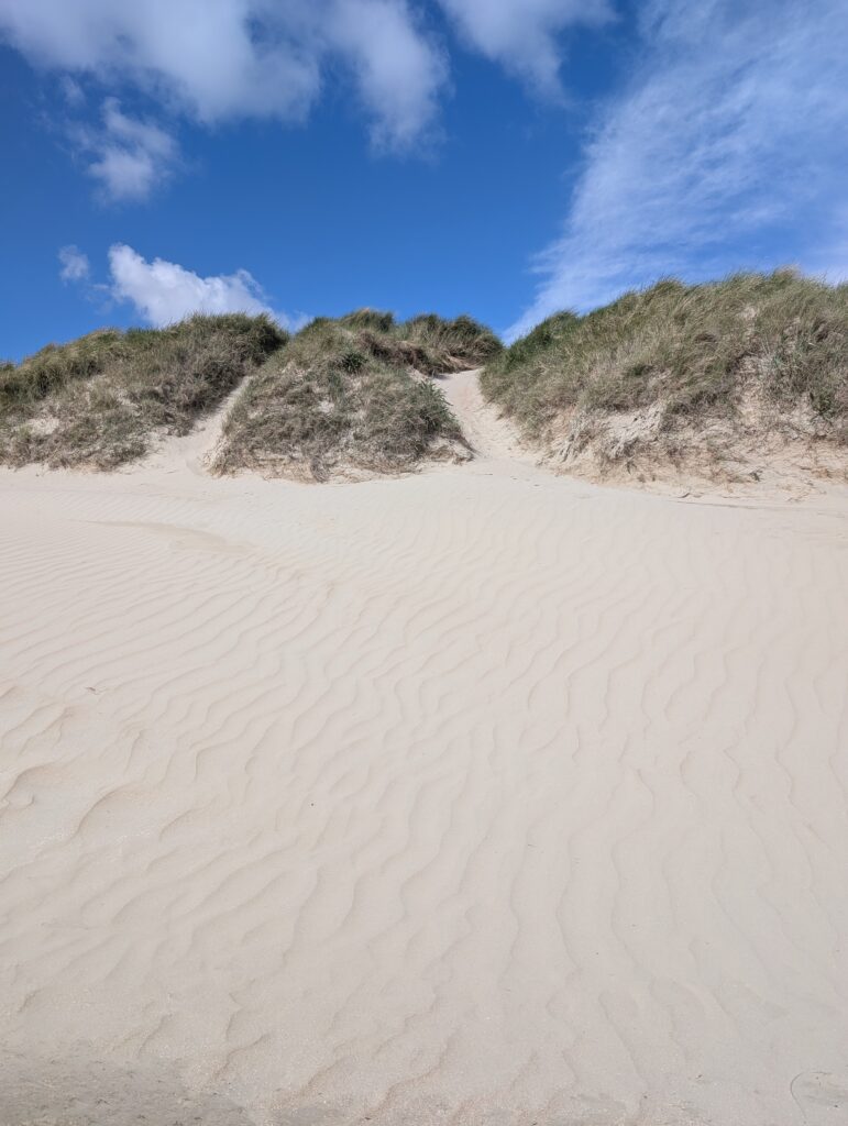 Dänemark Inselurlaub an der Nordsee - an den Dünen in Lakolk