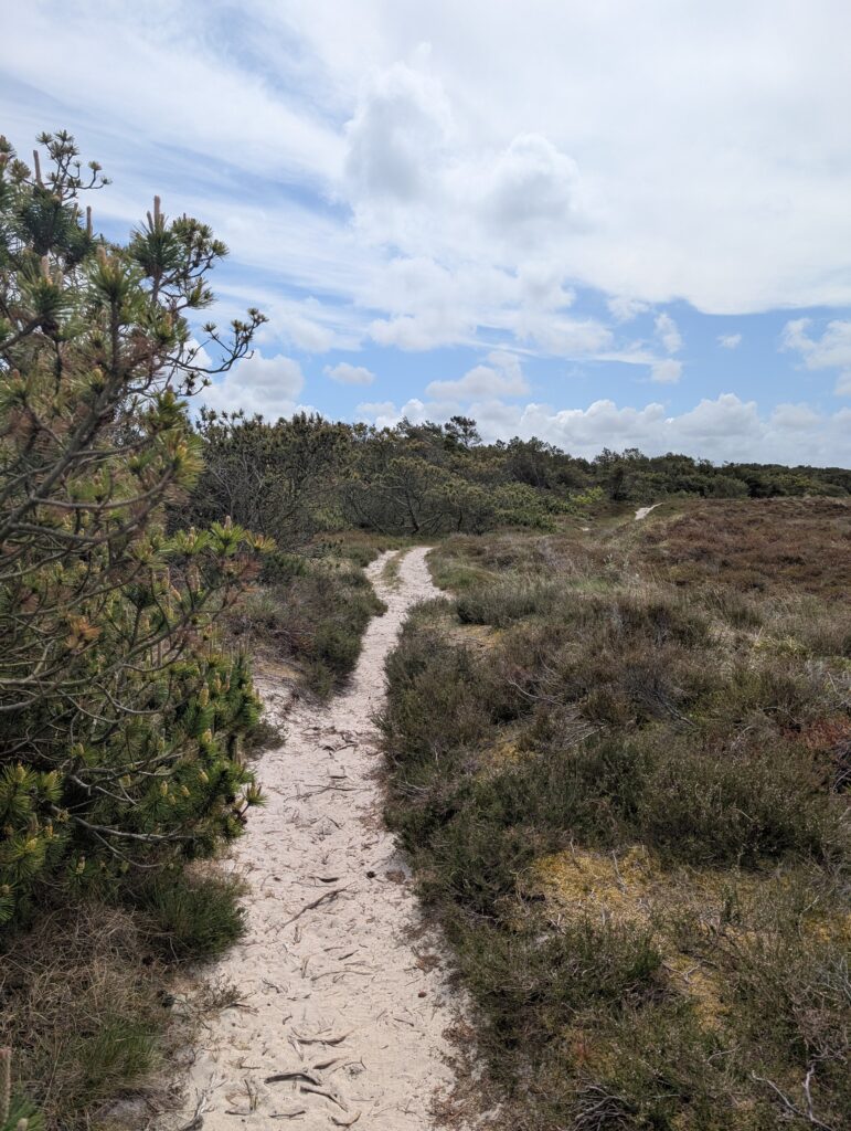 Plantageweg