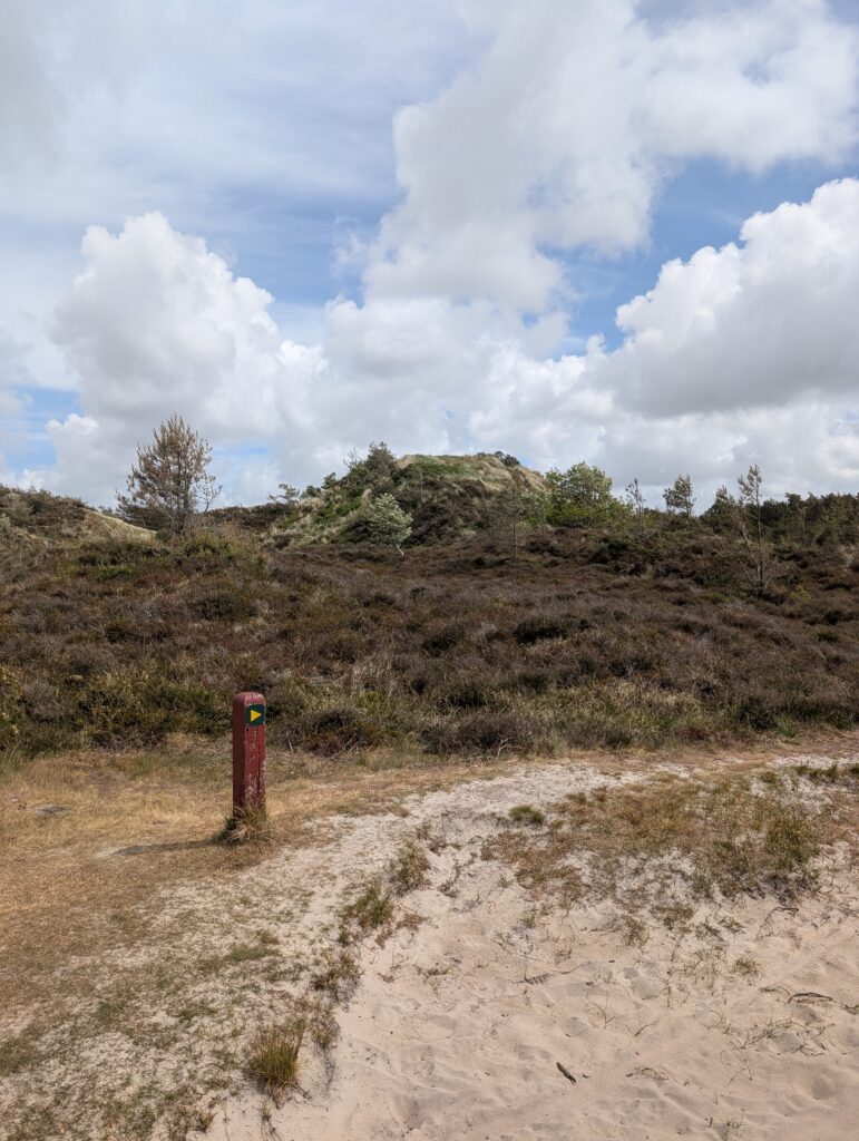 Plantageweg im Dänemark Inselurlaub an der Nordsee