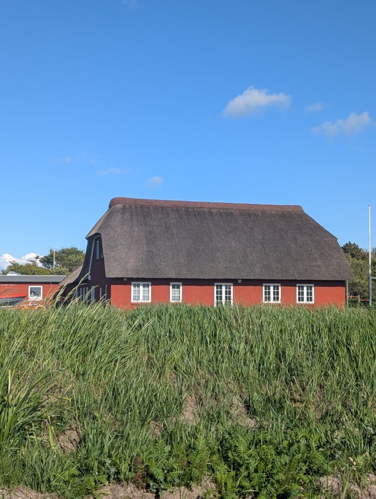 Reetdachhaus auf Römö im Dänemark Inselurlaub an der Nordsee
