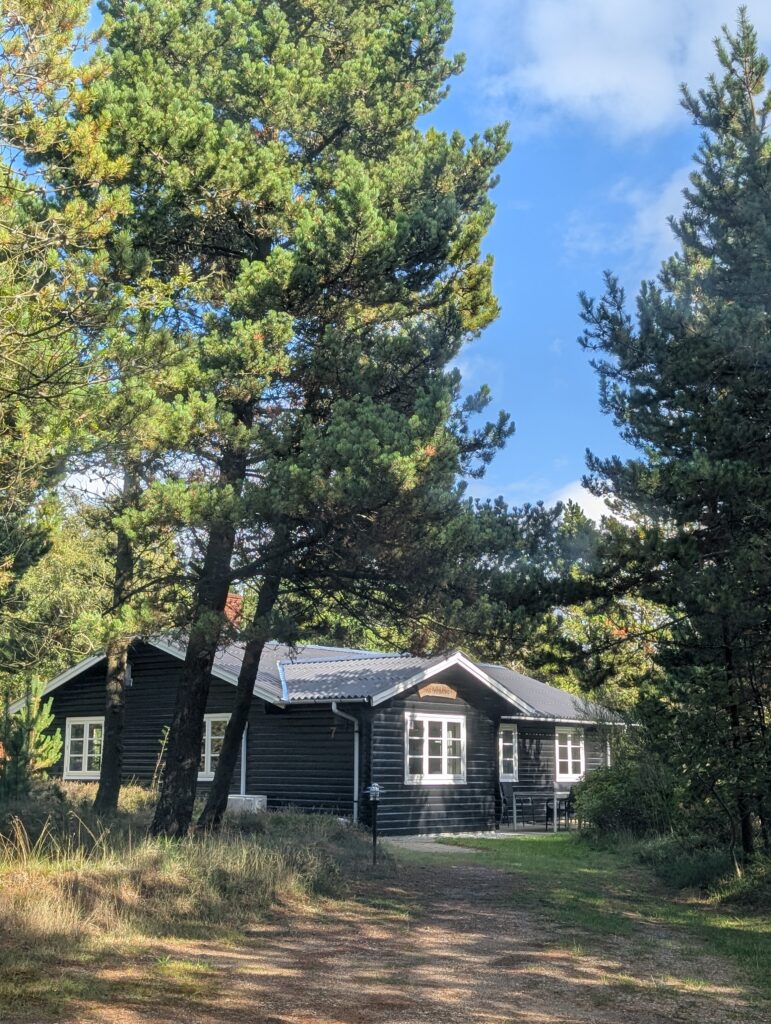 Ferienhaus auf Römö Reisebericht