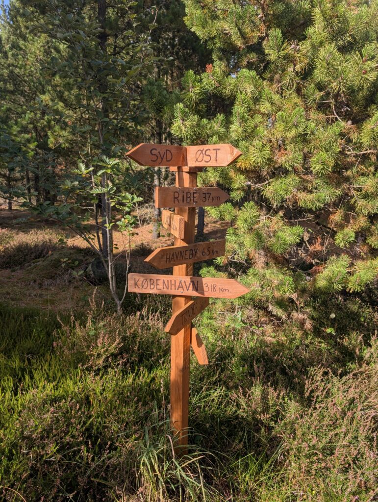 Waldhaus auf Römö