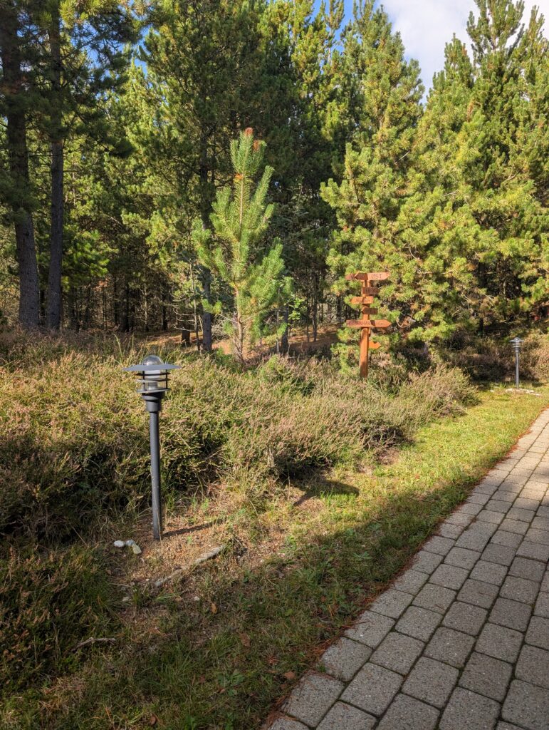 Waldhaus auf Römö