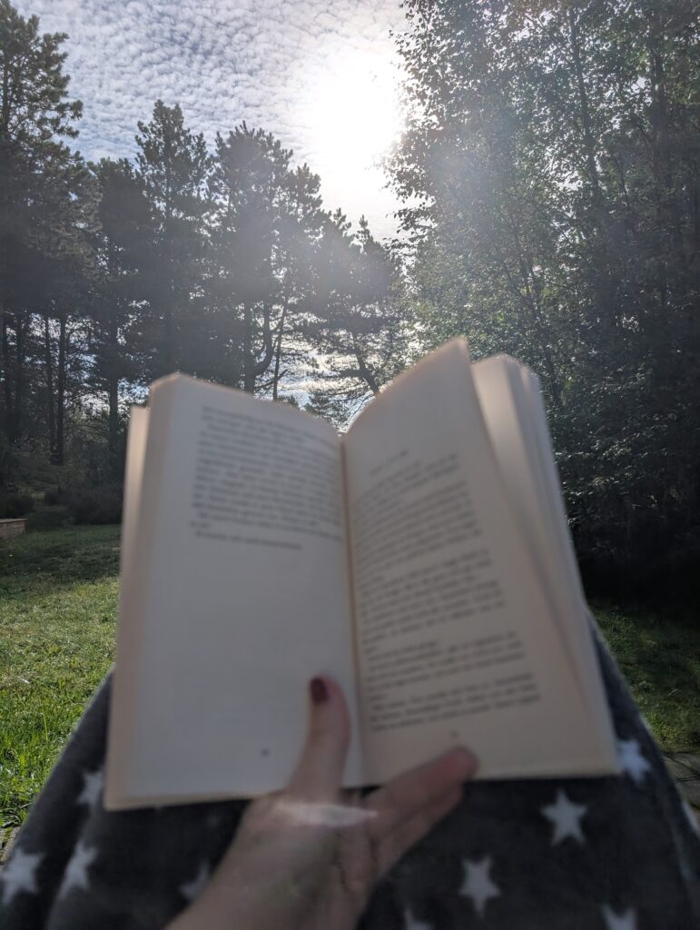 Buch lesen am Ferienhaus auf Römö Reisebericht