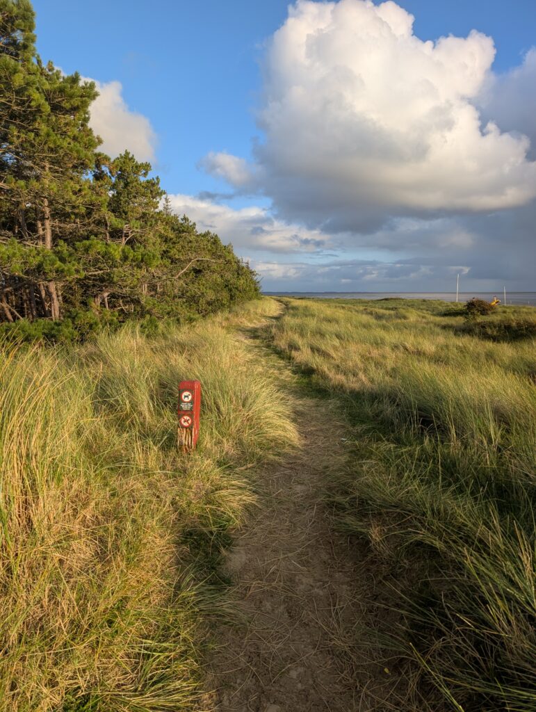 Römö Stier Wanderweg