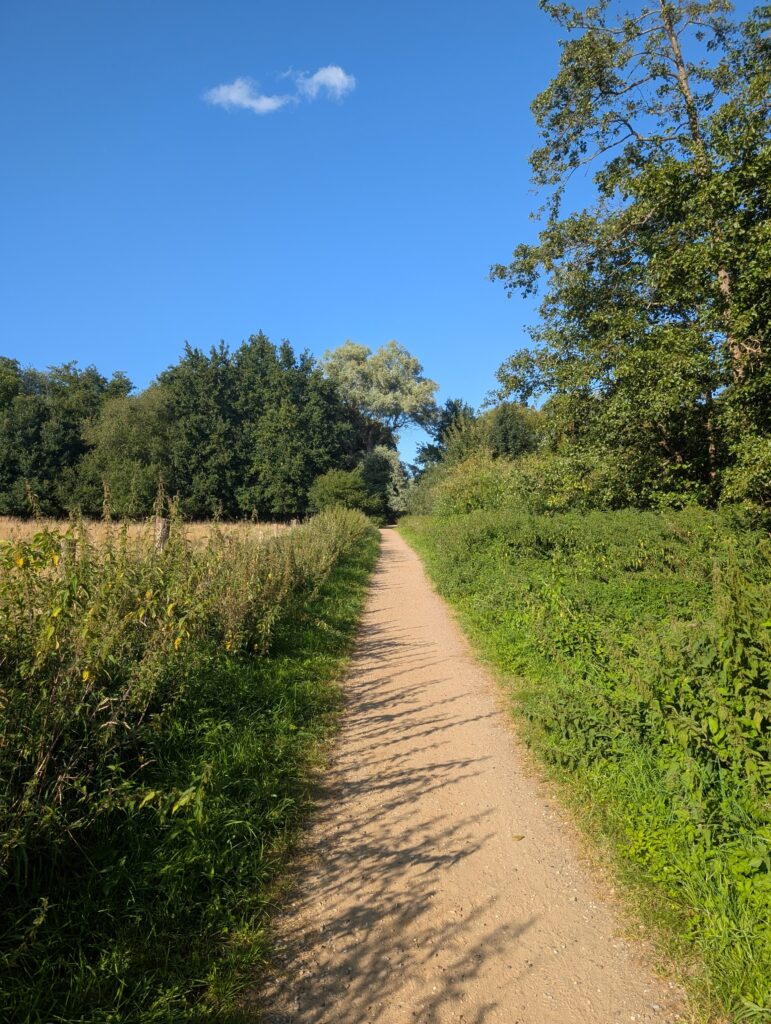 Hygge im Alltag - Natur