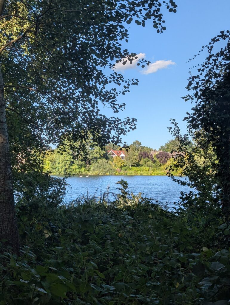 Hygge im Alltag - Natur