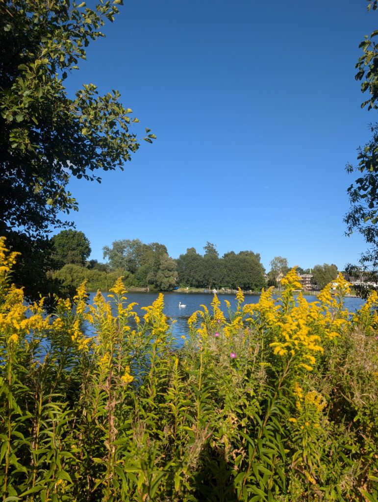 Hygge im Alltag - Natur